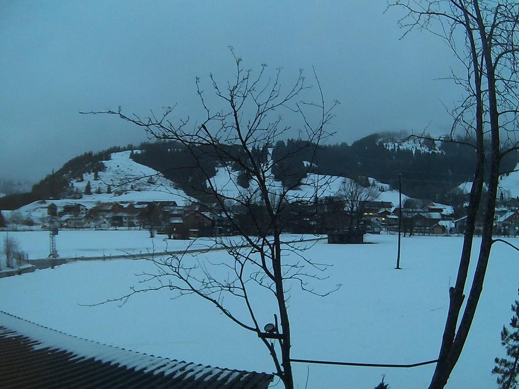 Alpenblick 2*