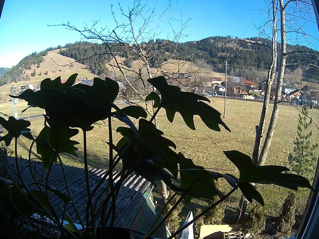 Hotel Alpenblick 2*