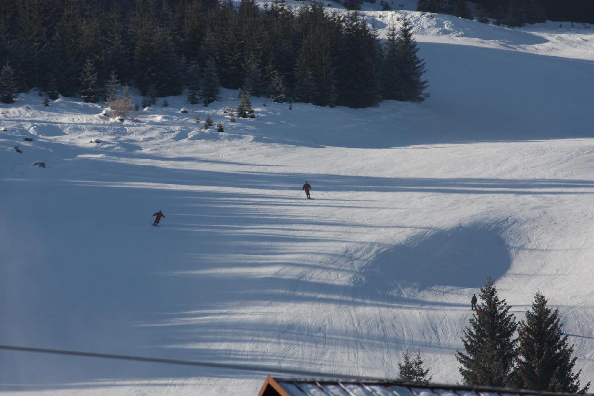 Alpenblick 2*
