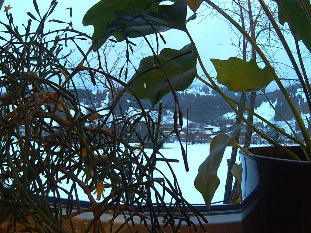 Hotel Alpenblick